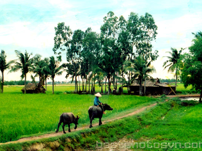 Thơ Đặng Quang Long (Quảng Ninh)